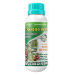 CANXI BO SỮA