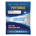 SAN-PHYTORUS