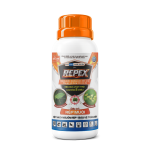 REPEX